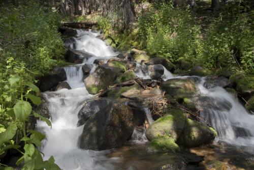 Colorado Creek #3