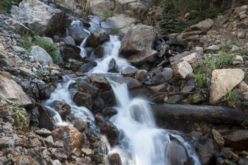 Colorado Creek #5