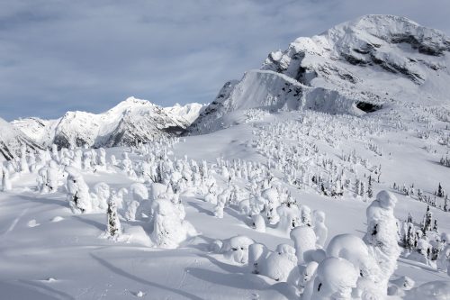 Snow Hoodoos in BC