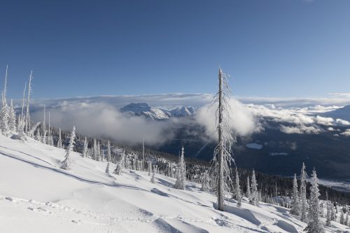 Frosty Friends in BC