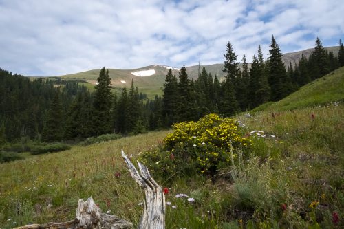A last bit of snow above Watrous
