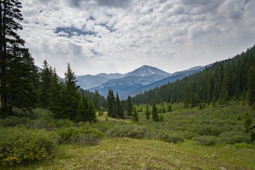 Torrys Peak from Watrous Gulch