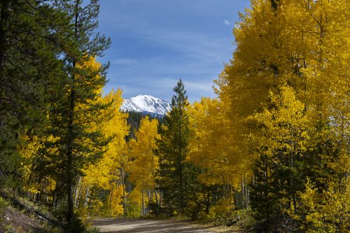 Fall colors reveal Parry Peak